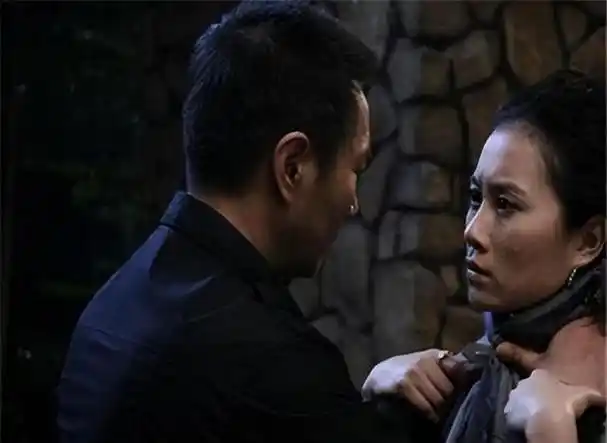 姚刚和温峥嵘在这部剧里演了一对夫妻,他俩都挺有名的,都是演反派的