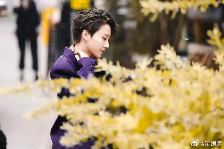 刘雨昕潮流合伙人饭拍紫色西装也能完美驾驭毛毛拖鞋好可爱@the9-刘