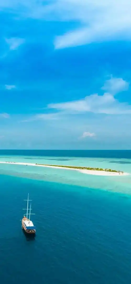 风景壁纸,活着本身就是一种价值,因为还有明天