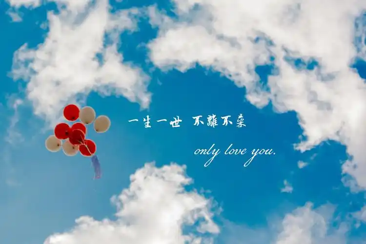 电脑壁纸 摄影 时光记忆 我愿意赌上所有时光只爱你一个人带字图片