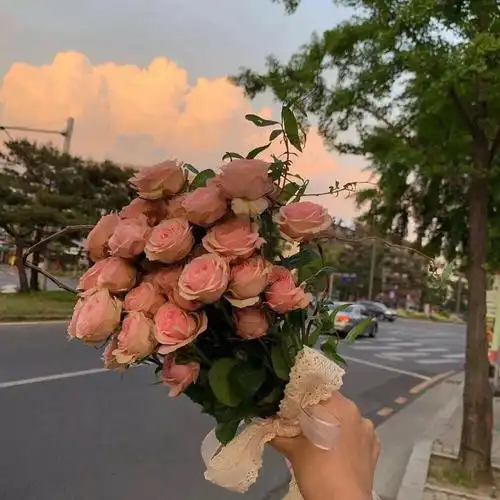 朋友圈背景图手机壁纸鲜花意境图片ins风简约风格