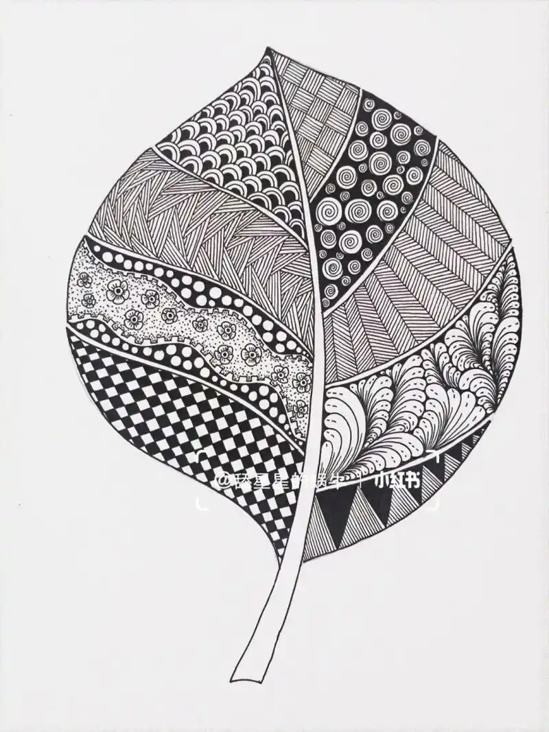 线描创作‖原创黑白线描画《叶子》图文版 一片叶,两片叶,片片叶,将你