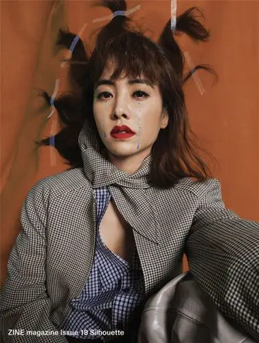 蔡依林专辑封面