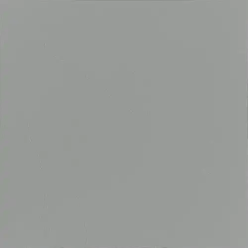 bh      商品价格: 面议 类型:其他瓷砖 本店分类:纯色仿古砖-灰色