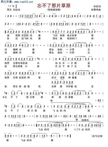 忘不了那片草原简谱 歌谱-燕尾蝶