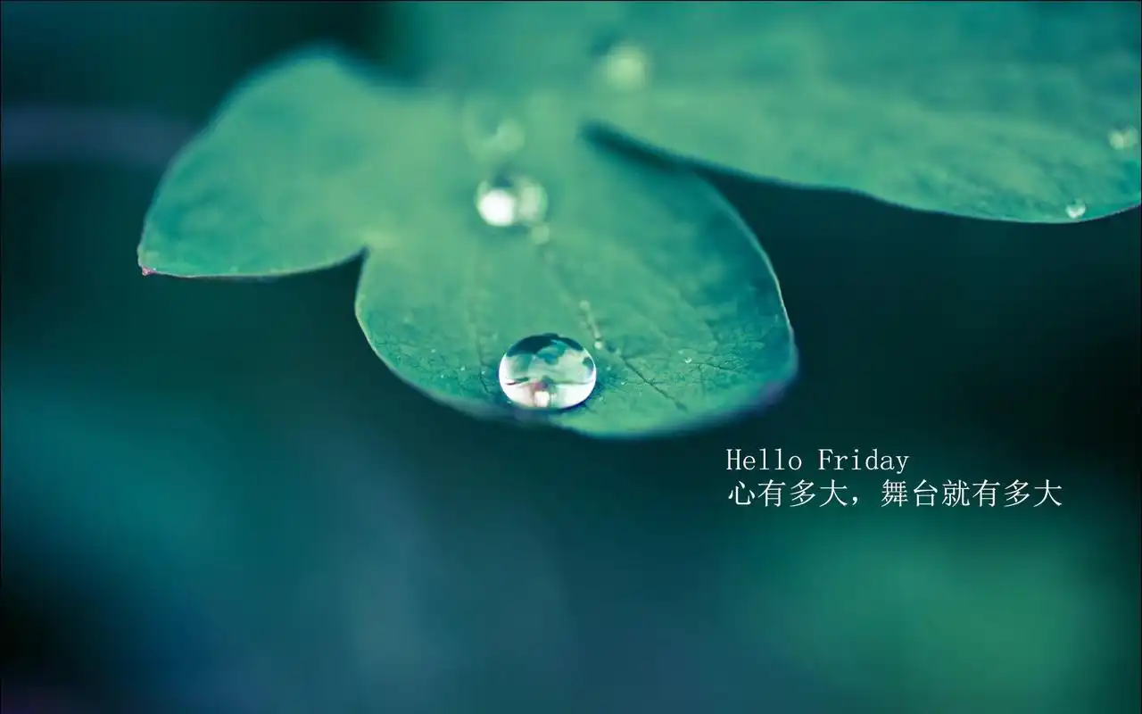 唯美文字每日心语清新绿色植物护眼桌面壁纸图片下载