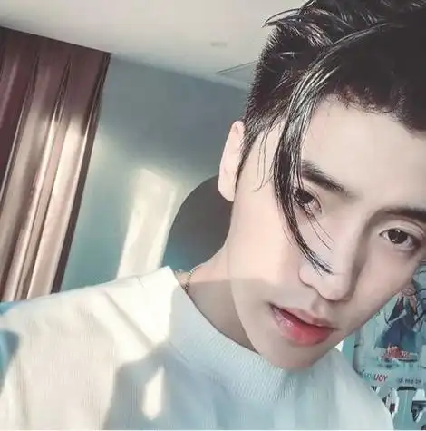 第一百篇王子异头像