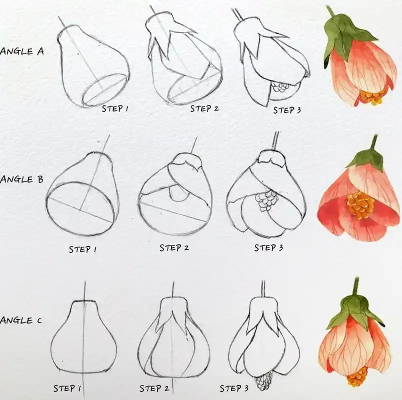 水彩花卉步骤#一起学画画 #水彩 #绘画 #手绘 #绘画过程 - 抖音