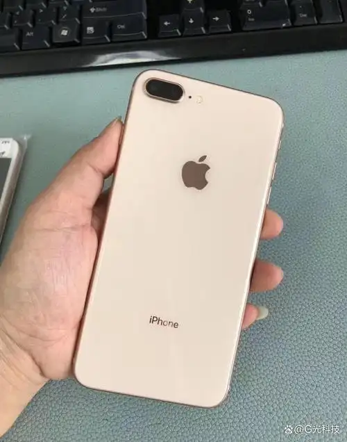 苹果在2017年秋季发布了旗下的 iphone 8 plus,这款手机的推出引起了