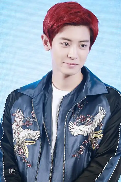 朴灿烈chanyeol红发