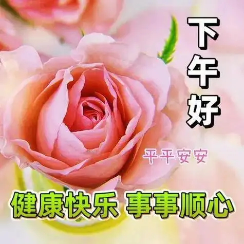 下午好图片大全向快乐出发遇见所有美好