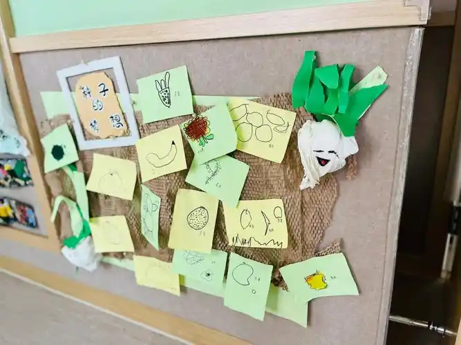 奇妙的种子课程故事接上一条