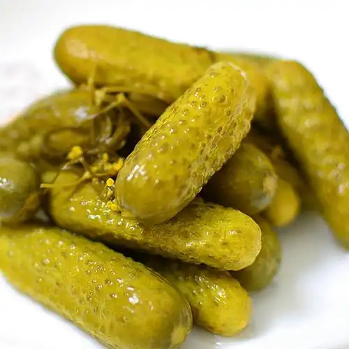 俄式酸黄瓜进口俄罗斯风味罐头原装腌小青瓜西餐伏特加下酒菜500g