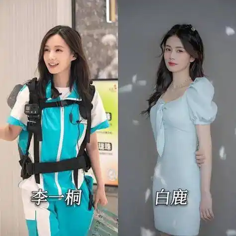 李一桐与白鹿明明长着一张脸命运却对彼此玩起了捉迷藏