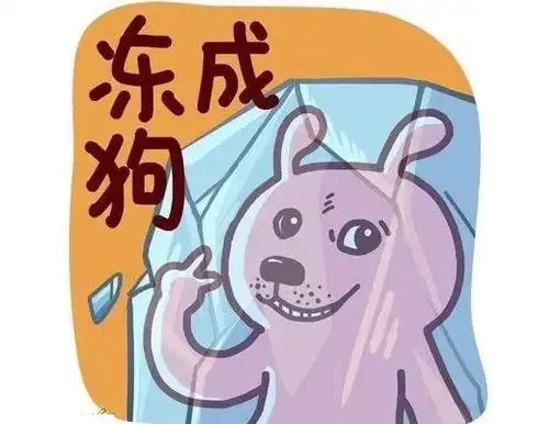 差点冻死在夏天图片搞笑