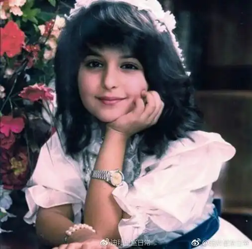 迪拜皇室王子公主总览