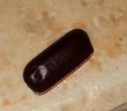 像红豆一样鼓鼓的压扁里面出来像墨汁一样的东西这是什么虫子