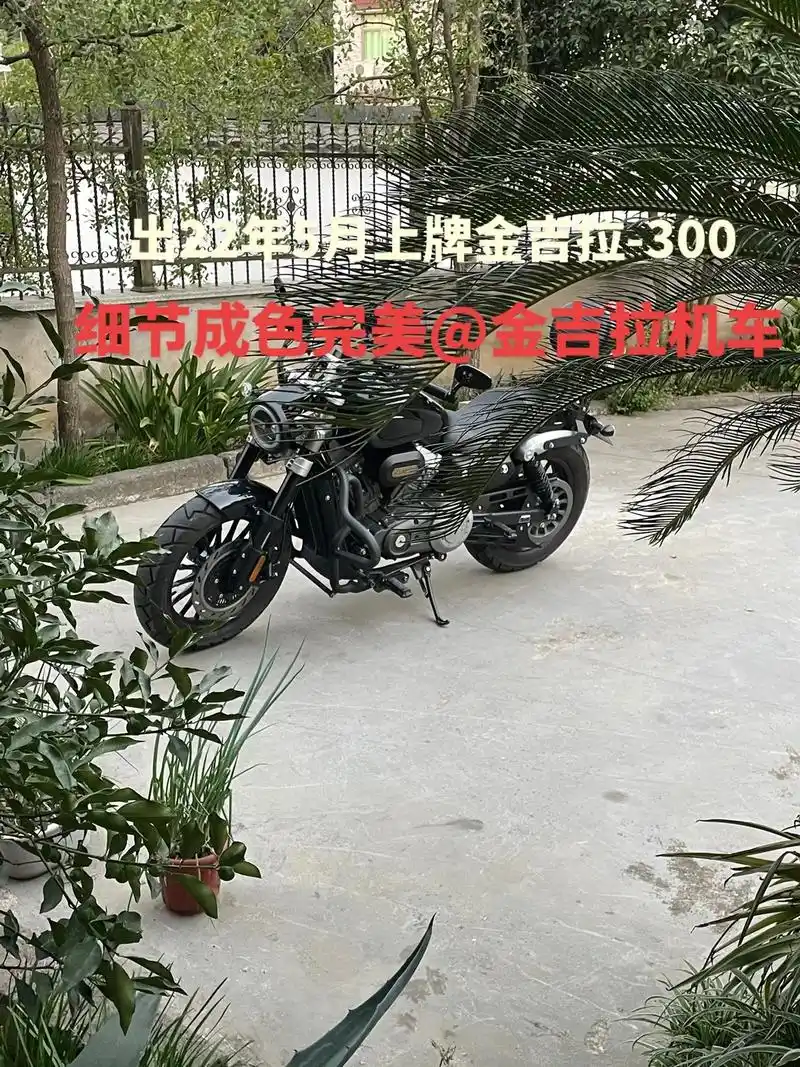 benda金吉拉.出自用2022年5月份上户 个人一手奔达金 - 抖音