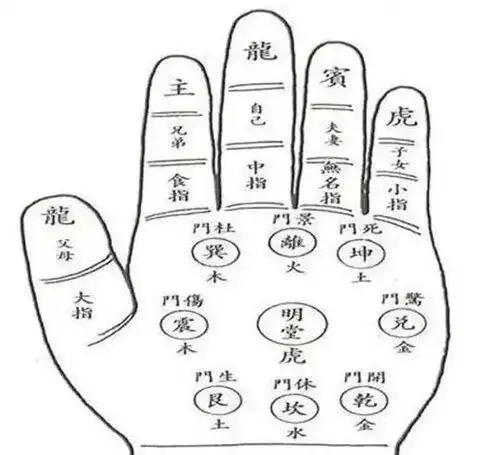 左掌心有痣代表什么左手掌下方有痣的女人