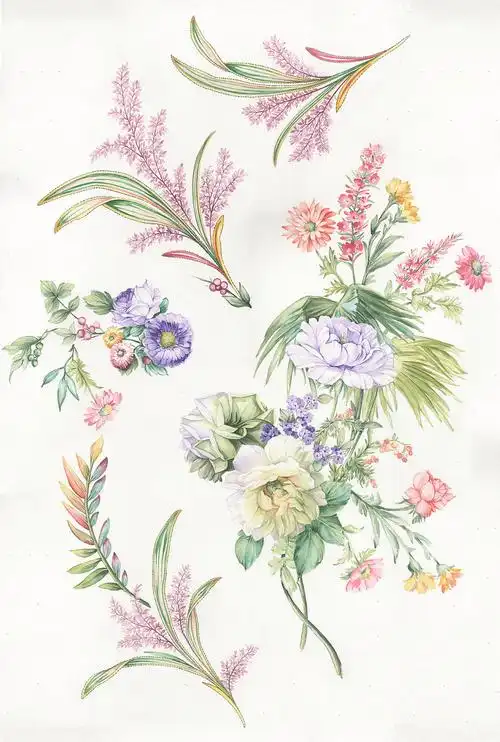 之玫瑰标签水彩芙蓉花手绘作品信息创作时间2020/09/03收录收藏夹查