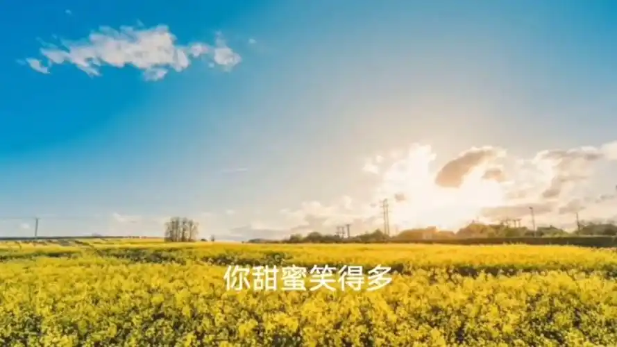 经典歌曲 邓丽君 甜蜜蜜