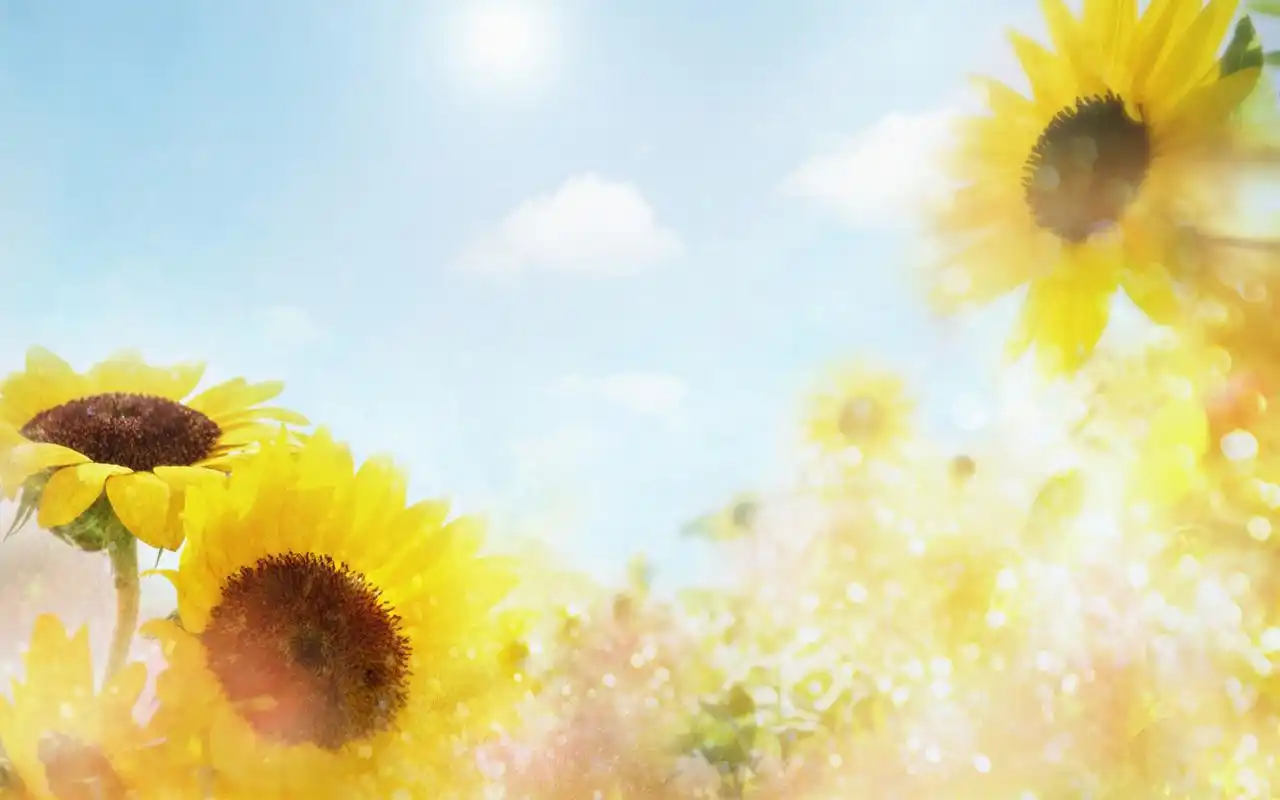 唯美意境风景图片