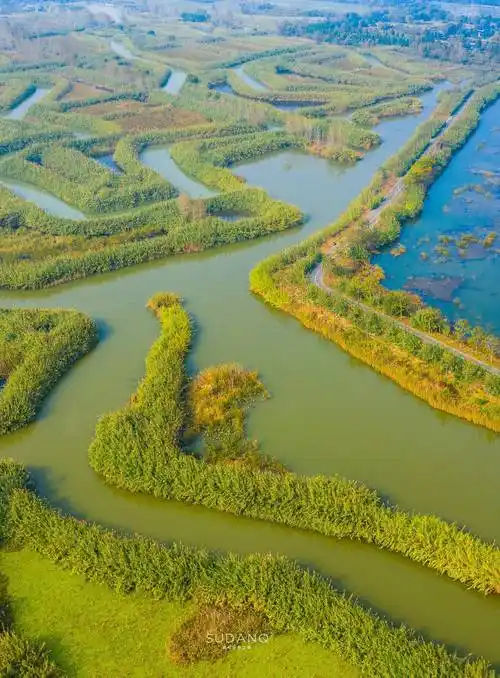 旅游江苏泗洪洪泽湖湿地秋天媲美奈良