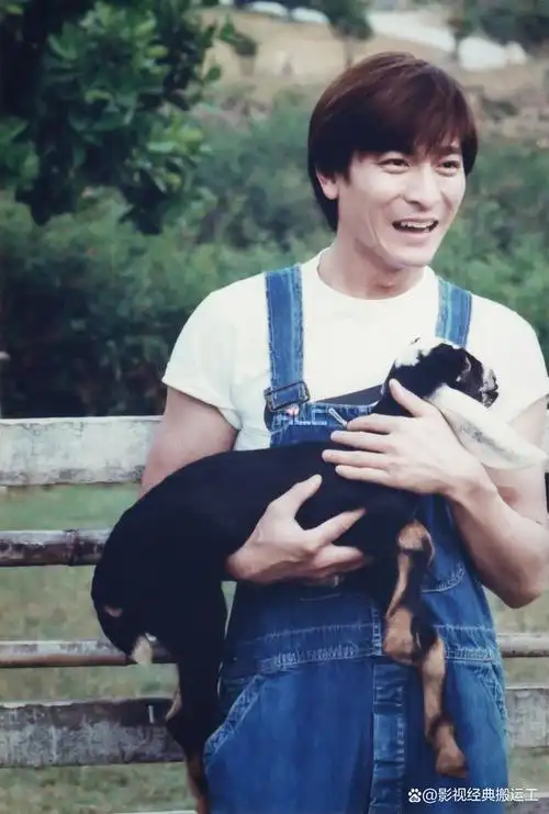 这一组照片,年轻时候的刘德华是那么清秀,有一股甜甜的味道,是那么