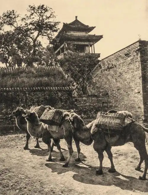 100年前,一位英国摄影家镜头中的老北京