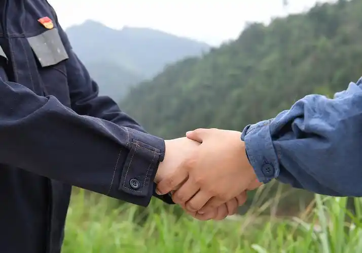 两双手紧紧相握在青山绿水间