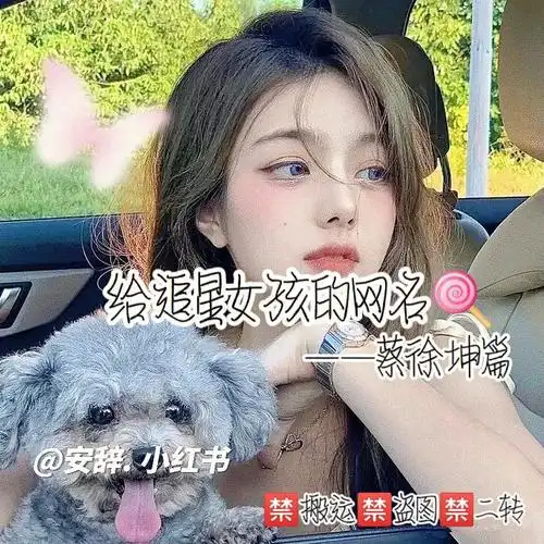 给追星女孩的网名
