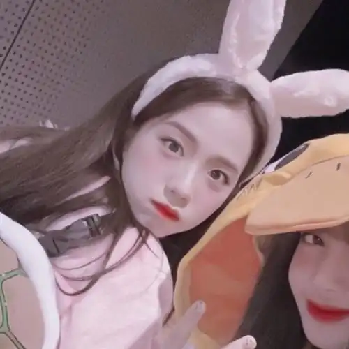 blackpink成员jennie和jisoo成立个人公司,续约事宜悬而未决