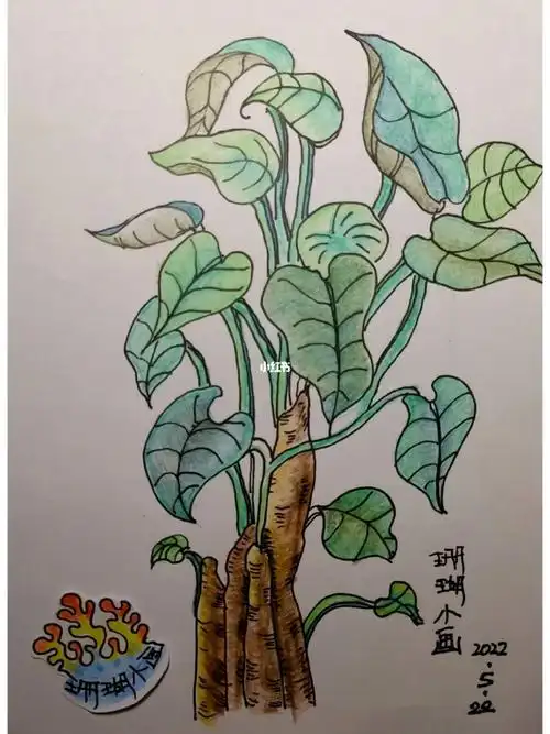 滴水观音彩铅简笔画