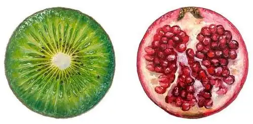 「艺术家」圆形绘画展现了切半的橙子,石榴和其他水果的肉质内脏