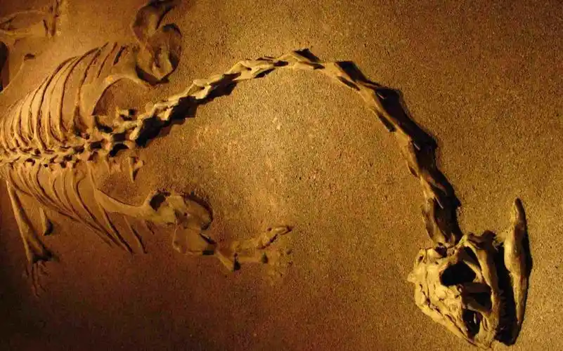 八千年前的查海遗址,出土19米"真龙",推翻了真龙起源黄帝说