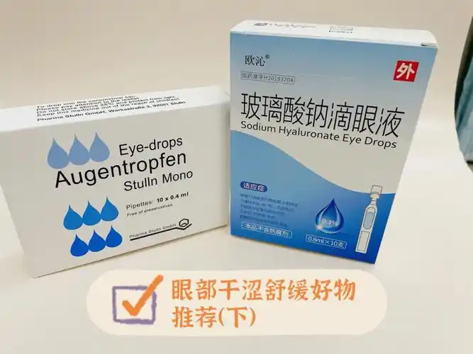 1 玻璃酸钠滴眼液(爱丽/海露/欧