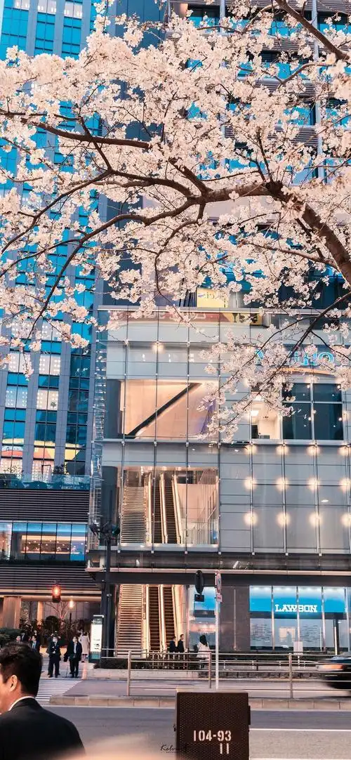 有哪些以日本的街道或者风景为背景的手机壁纸? - 知乎