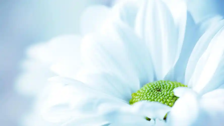 【走过荆棘,跨越长河的青春岁月】