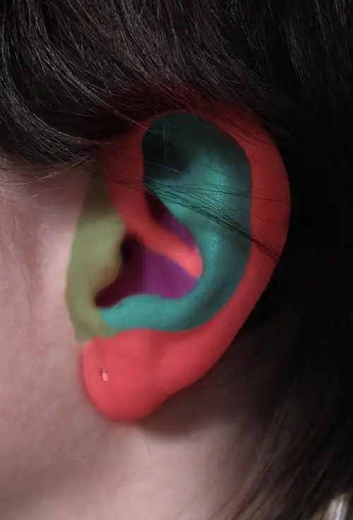 耳朵- 堆糖,美图壁纸兴趣社区