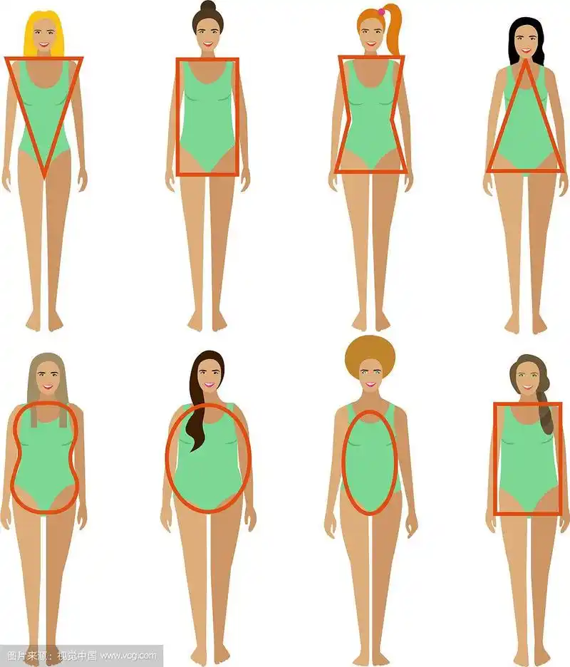 不同的女性体型