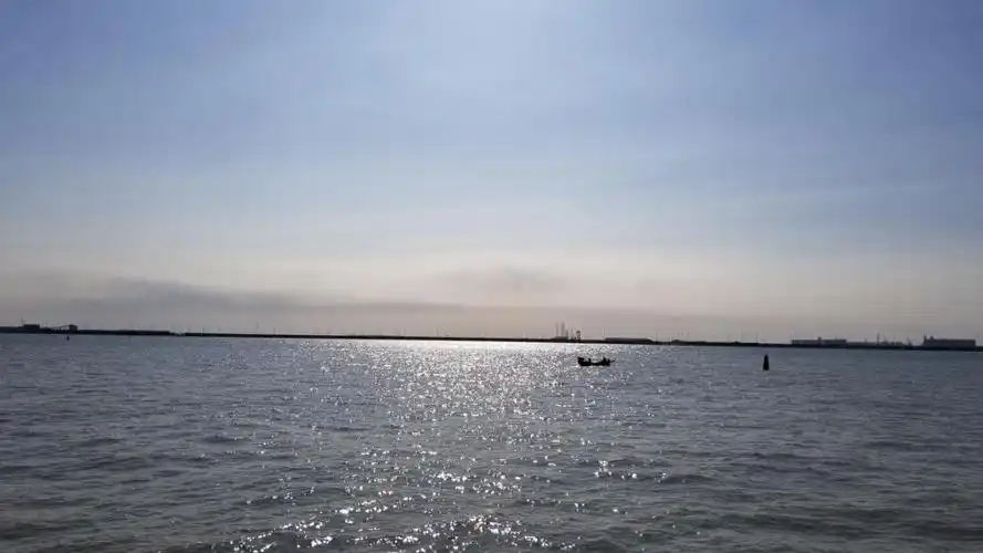 天津港看海阳光下的亚洲龙很靓丽