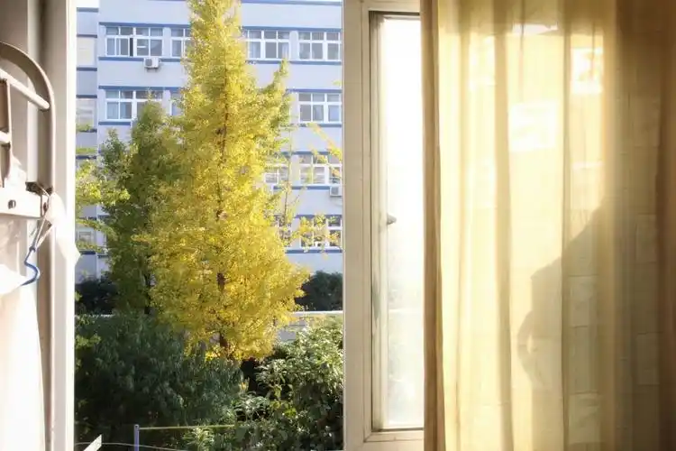 在每一个清晨,让阳光照耀你的梦想!