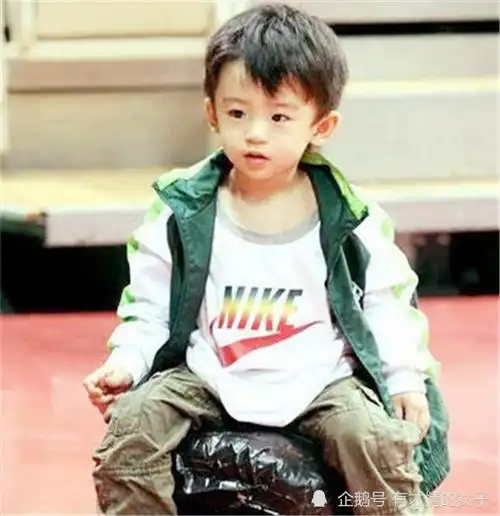 有种整容叫长大后的谢振轩,本以为是第二个谢霆锋,却令人失望!