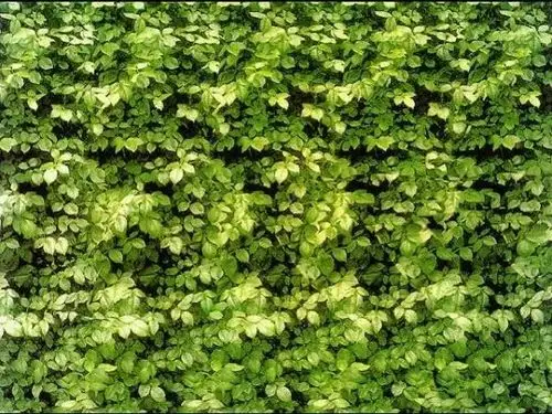 三维立体图片欣赏盘点网络流传的3d立体图片合集