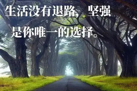 努力成为更好的自己#支持抖音传播正能量 #希望我的作品给您带 - 抖音