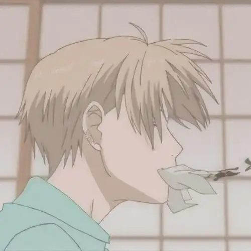 夏目友人帐猫咪互动头像