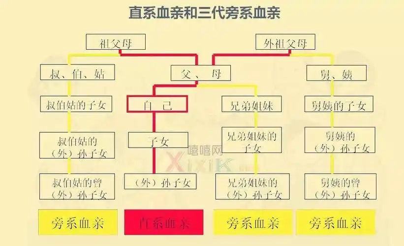 老婆的弟弟怎么称呼(老婆的亲戚怎么称呼)