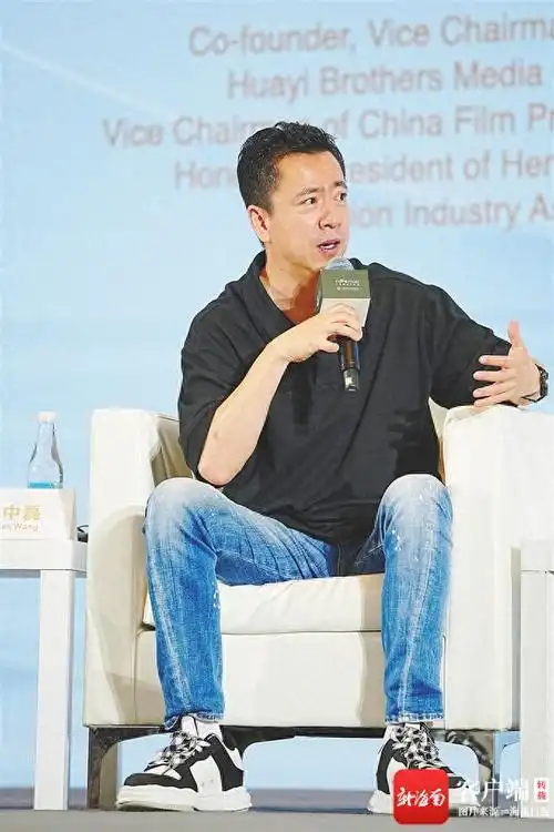 华谊兄弟传媒股份有限公司联合创始人王中磊:在政策指导下突破 助力