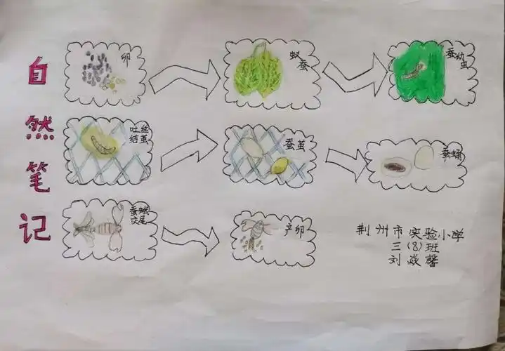 《神奇而美丽的大自然》