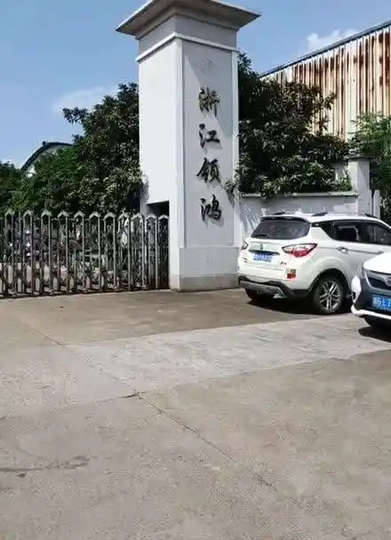 浙江武义县桐琴镇工业区领鸿工贸厂长打人,一直讲的都是质量问题,从不